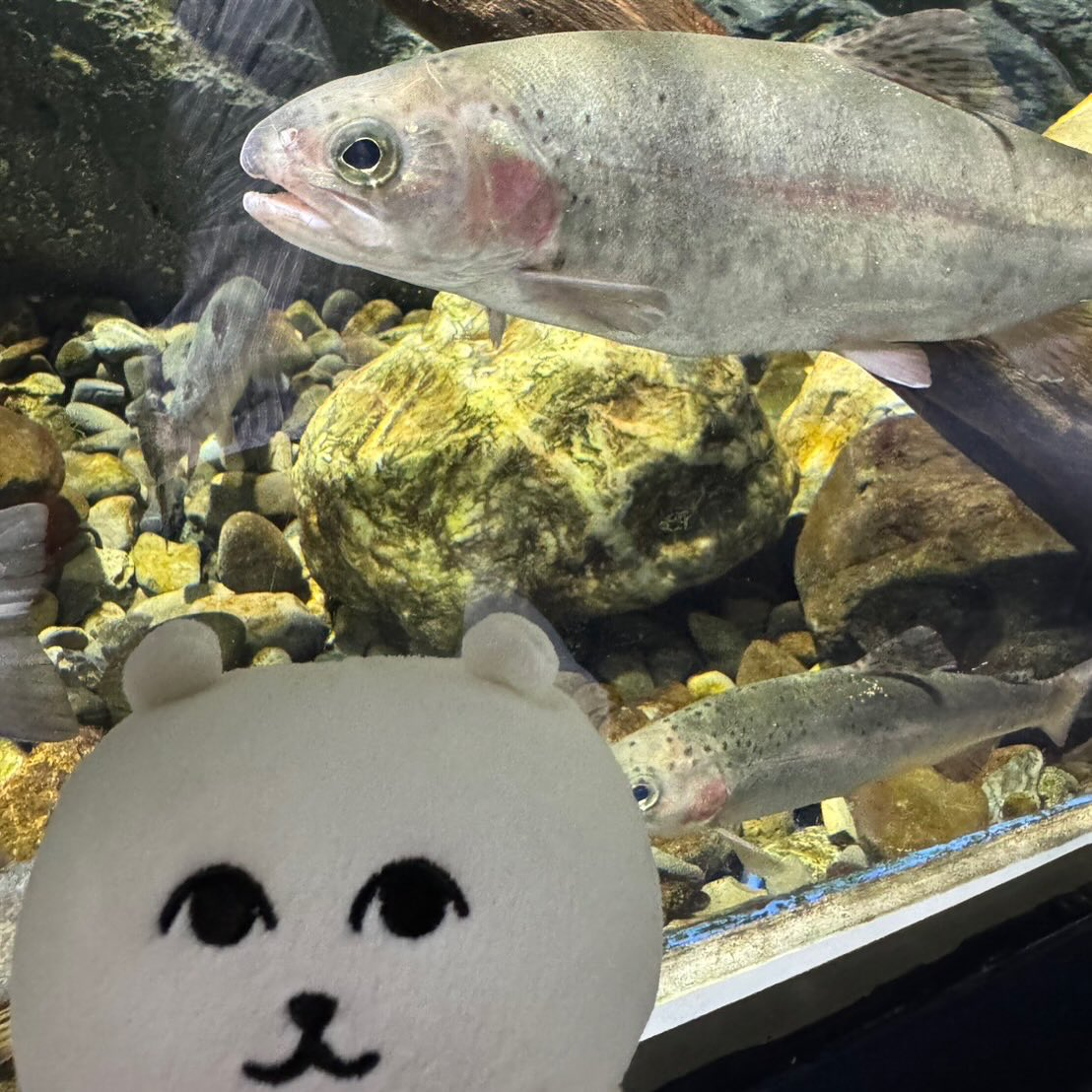 北海道弾丸ツアー🐮