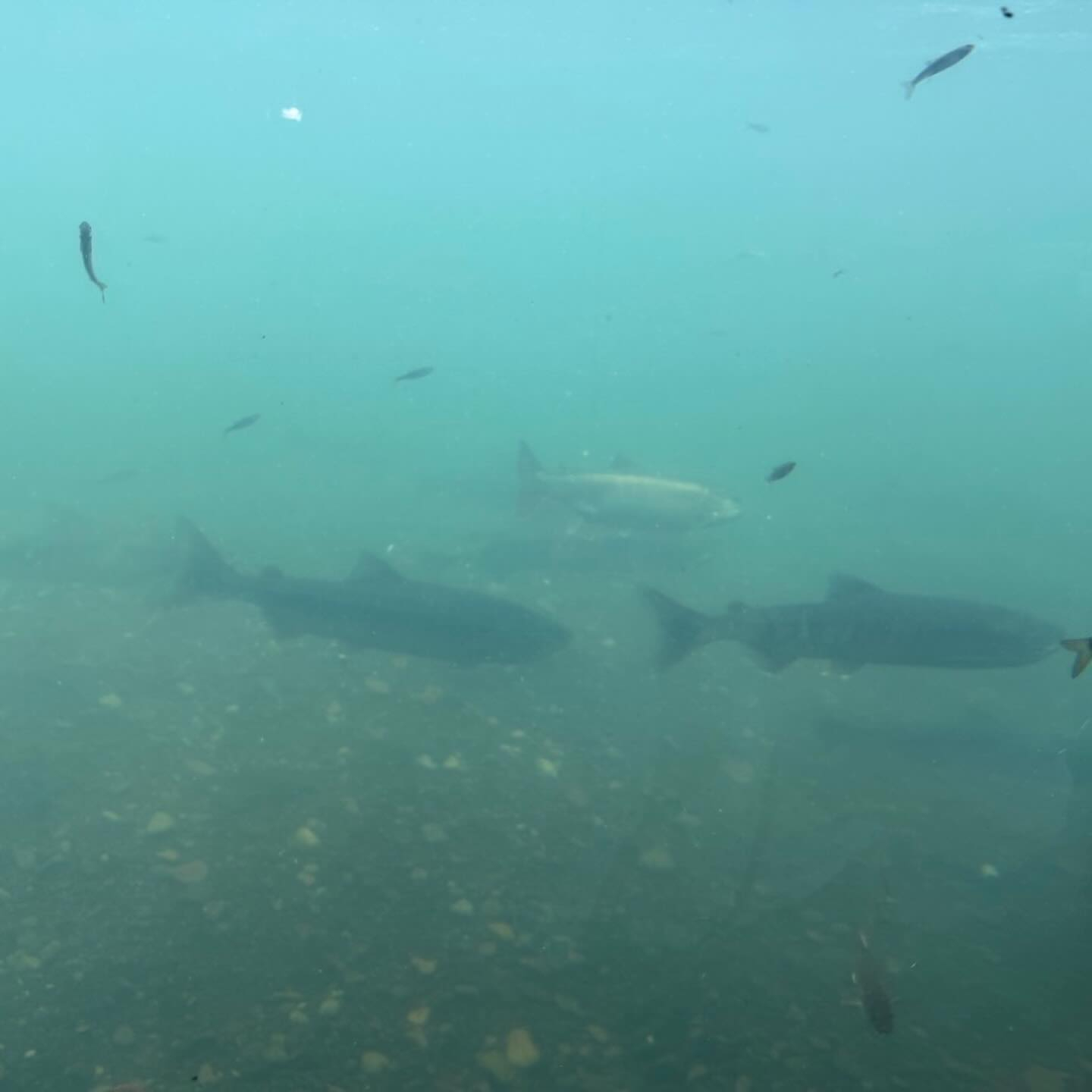 北海道弾丸ツアー🐮