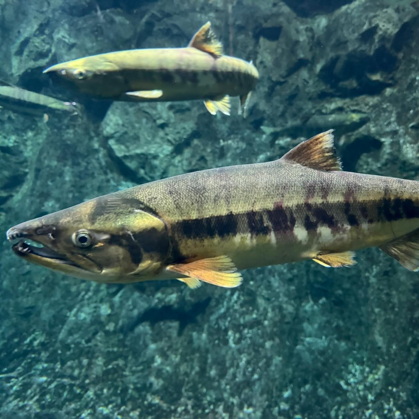 北海道弾丸ツアー🐮