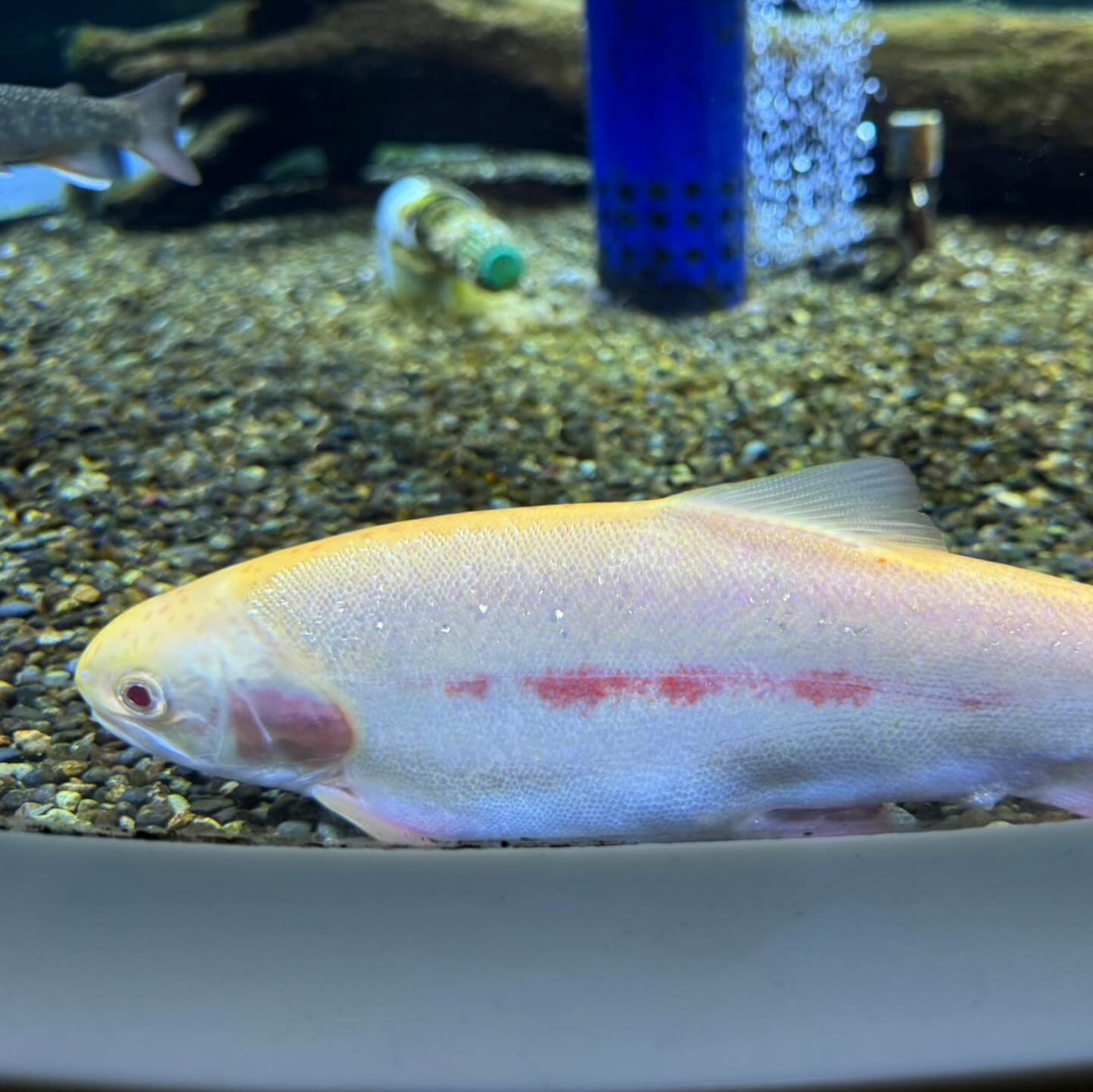 北海道弾丸ツアー🐮