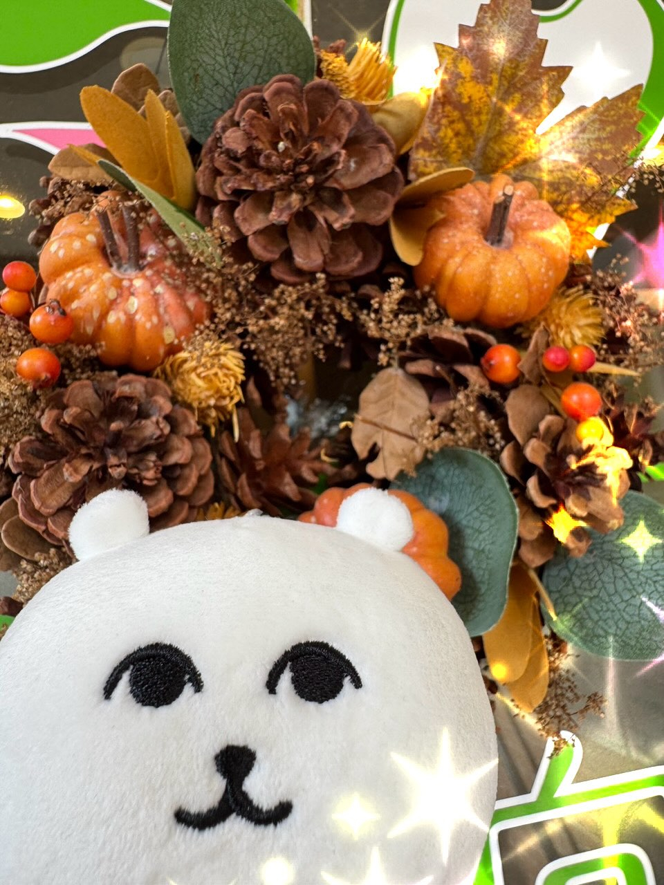 一気に涼しくなりとても爽やかな朝です☀️