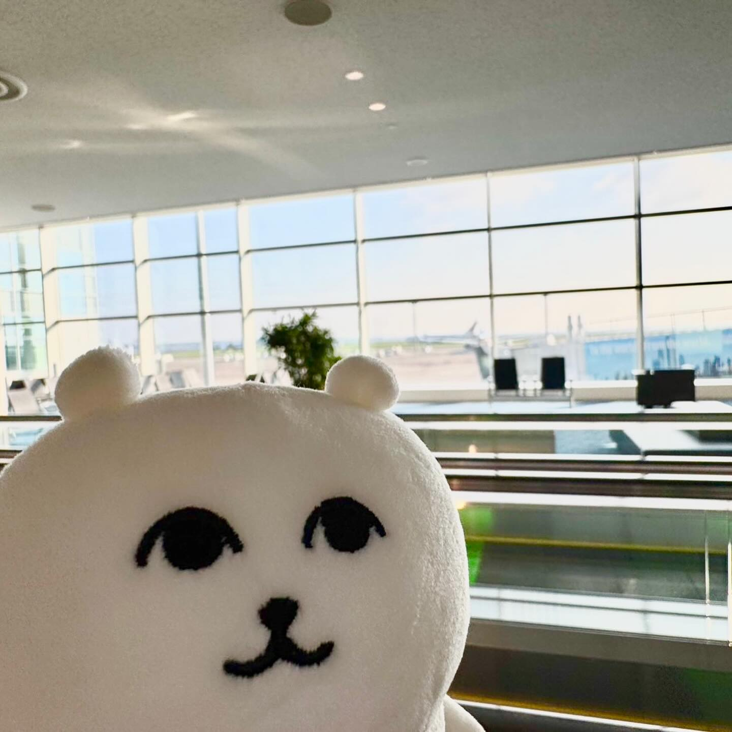 この前の北海道弾丸旅行 後編です🐟