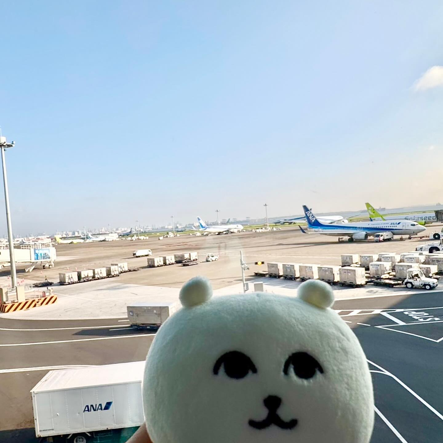 この前の北海道弾丸旅行 後編です🐟