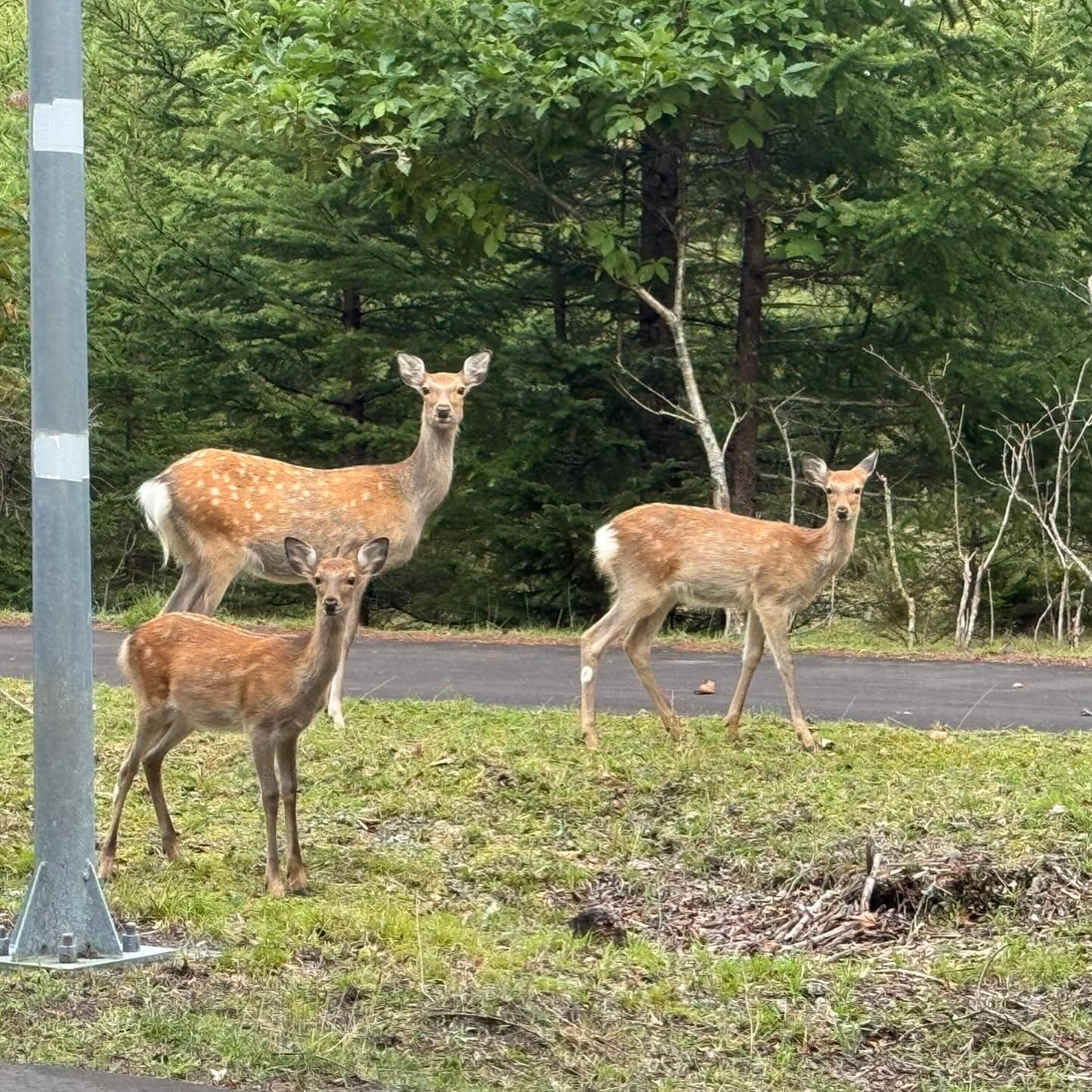 この前の北海道弾丸旅行 後編です🐟