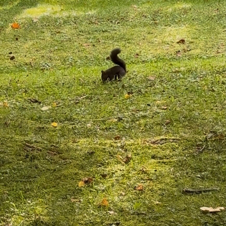 この前の北海道弾丸旅行 後編です🐟