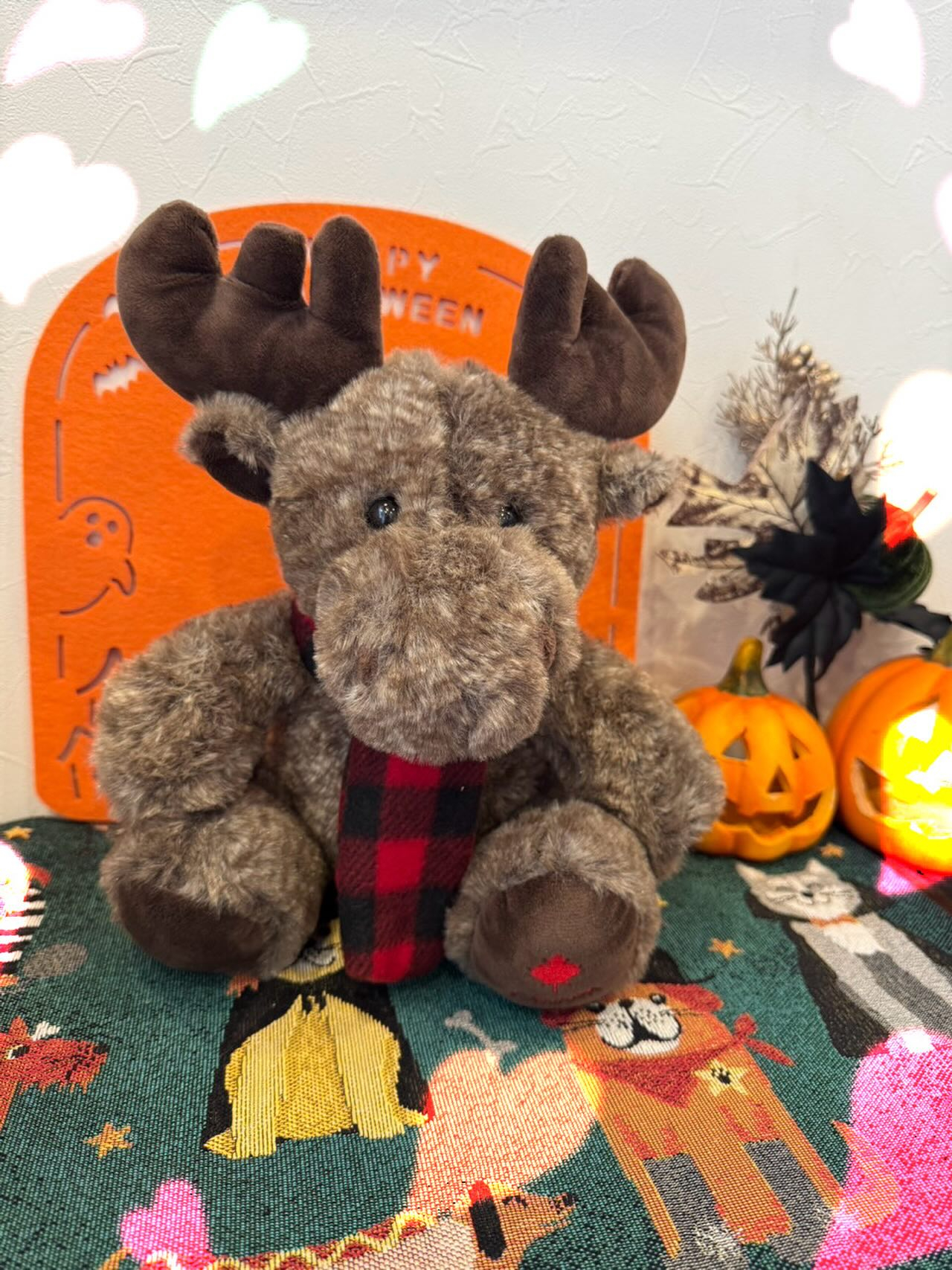 カナダに留学していたスタッフが無事帰国しました🇨🇦✨