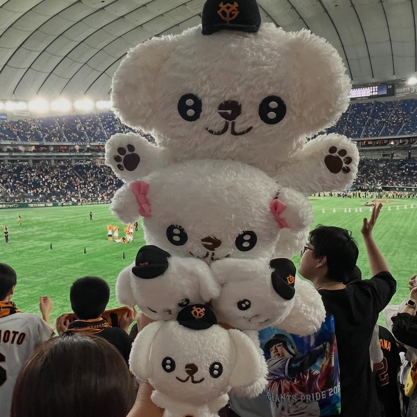 先日、巨人✖️中日の試合を観に行きました⚾️