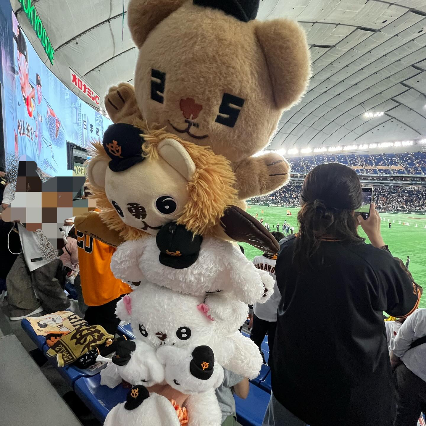 先日、巨人✖️中日の試合を観に行きました⚾️