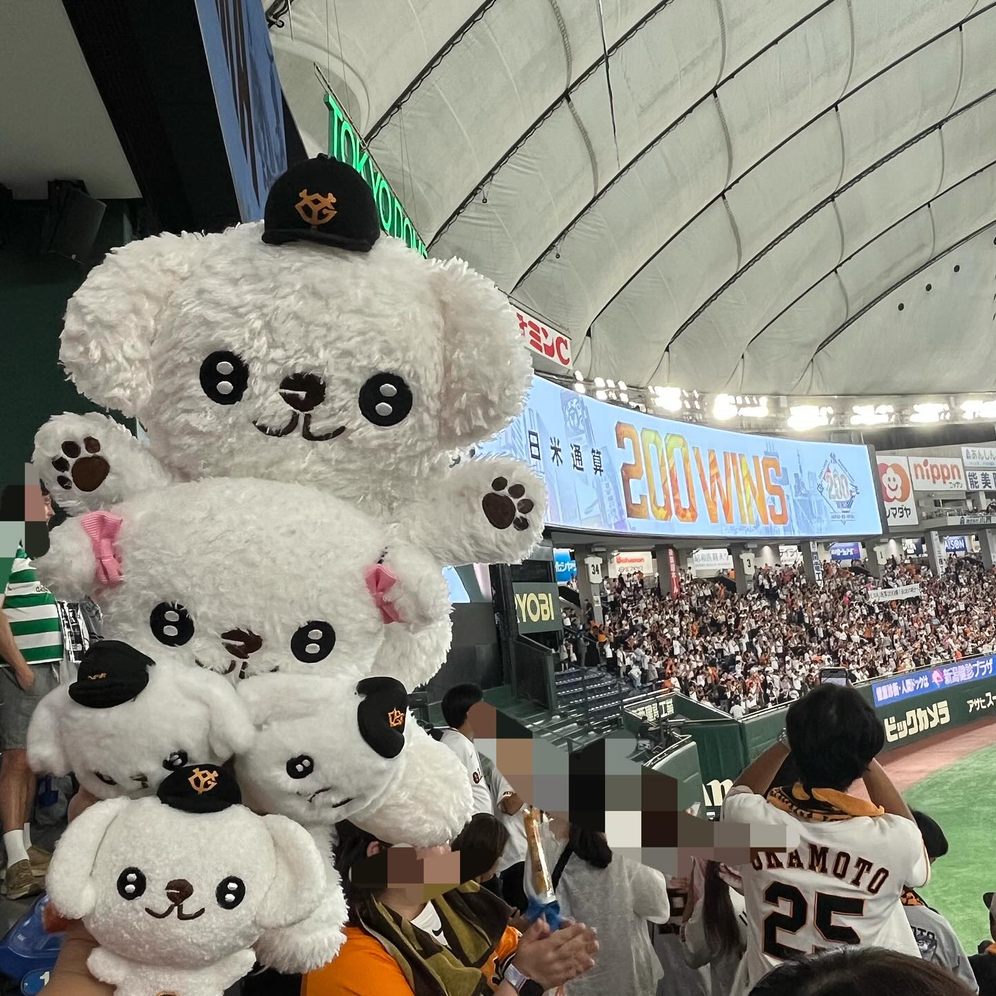 先日、巨人✖️中日の試合を観に行きました⚾️