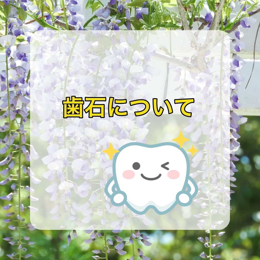 以前歯石のお話をしましたが、今回もその続きになります☝️