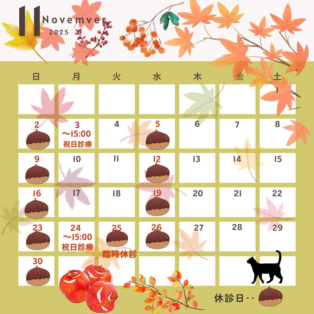 11月の診療カレンダーです🍂　