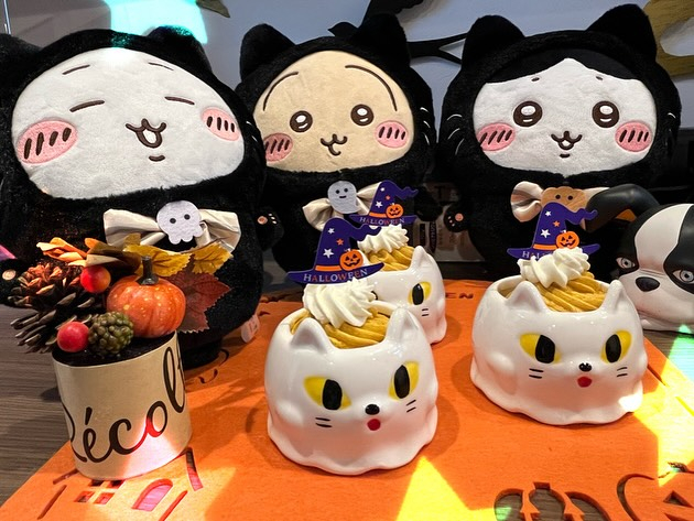 院長がハロウィン限定のケーキを買ってきてくれました🐱🍰