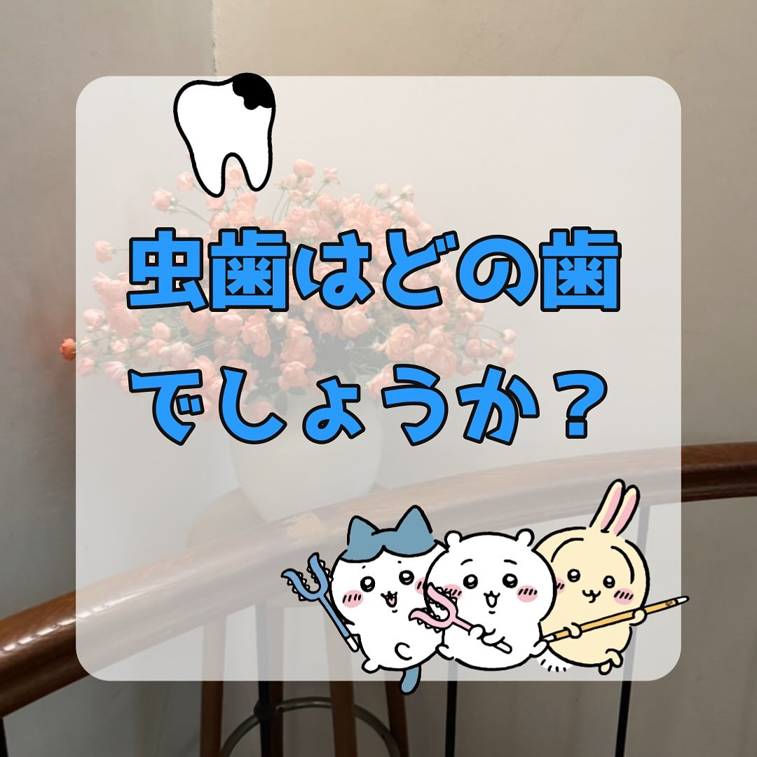 皆さんに質問です👀