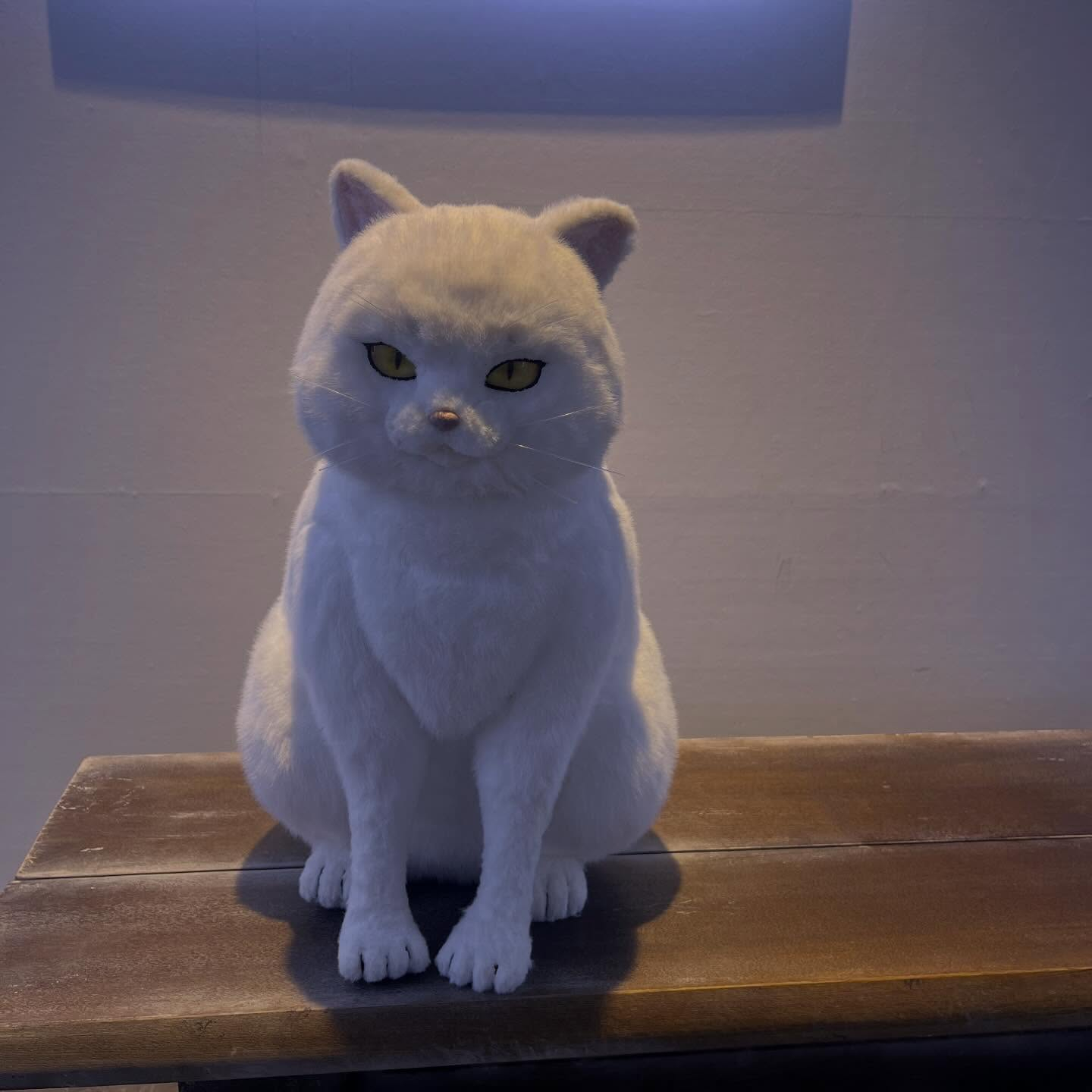 池袋サンシャインてんぼうパークで行われている『光が死んだ夏展...