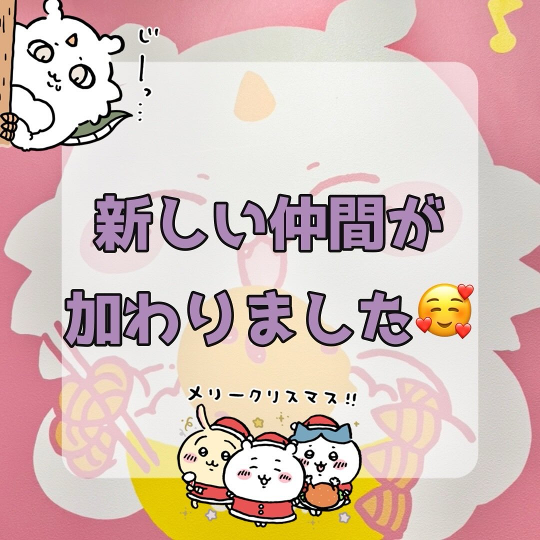 新しい仲間を追加するため、銀座にあるナガノマーケットへ行って...