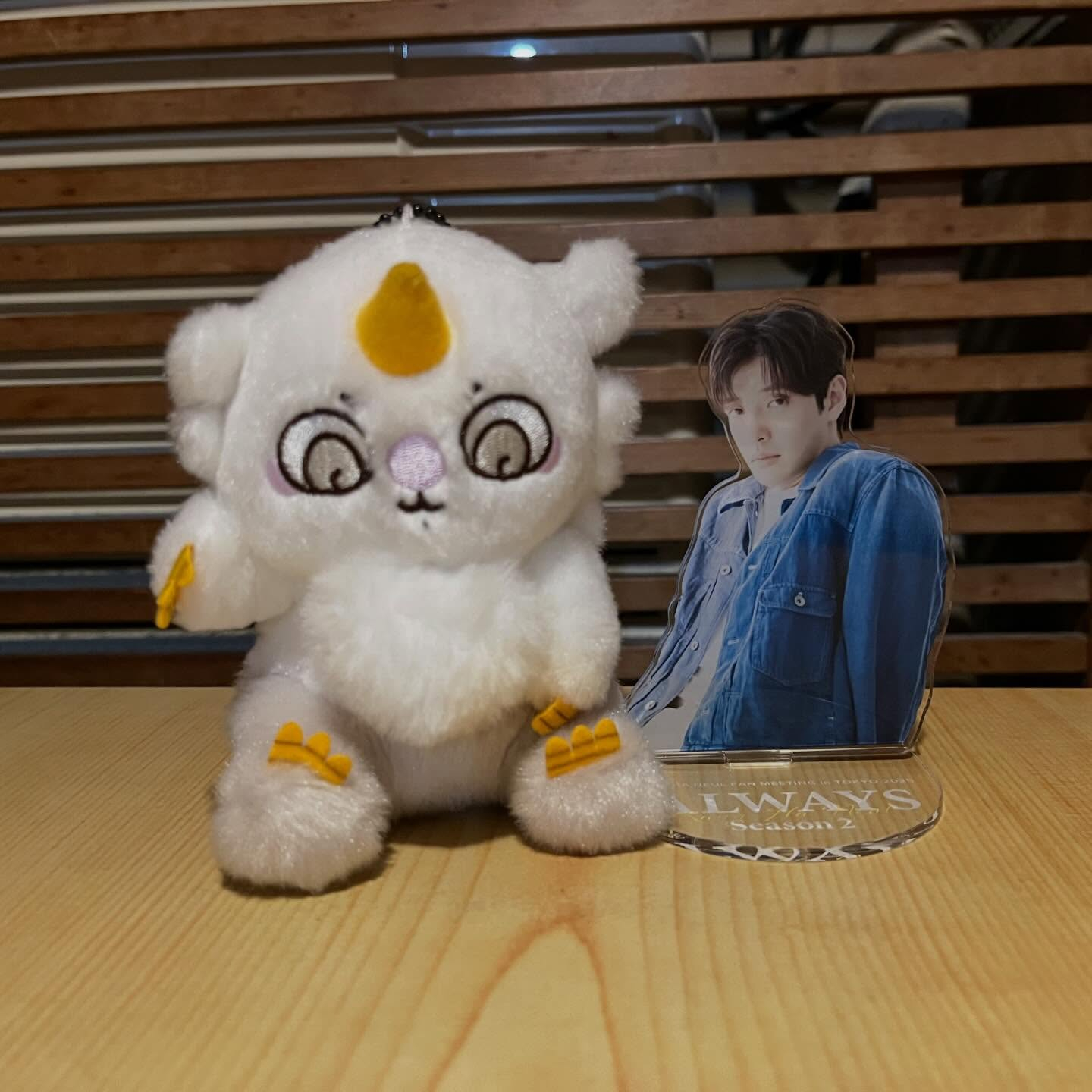 忘年会をしました🍻