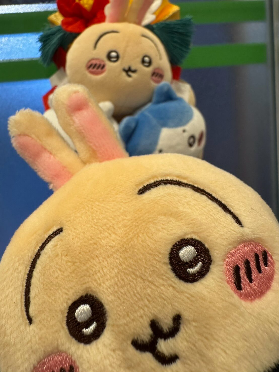 昨日院内の大掃除も終え、無事年内の診療を終了する事が出来まし...