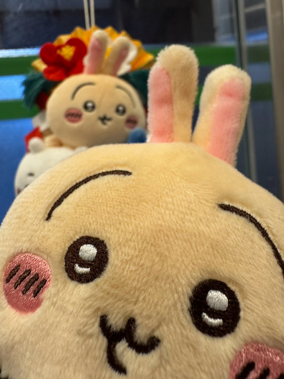 昨日院内の大掃除も終え、無事年内の診療を終了する事が出来まし...