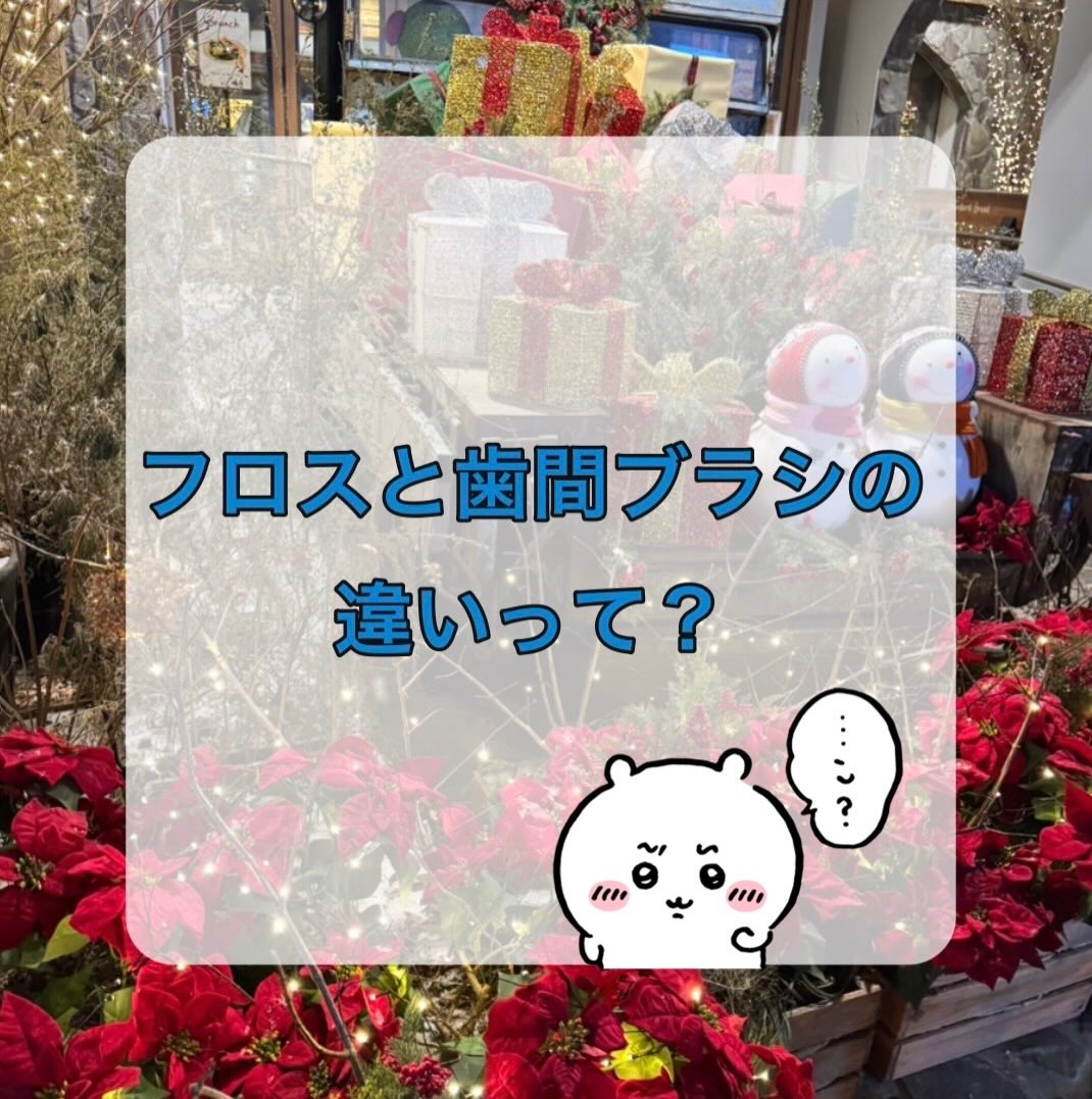 前回に引き続き、今回もフロスのお話です👀