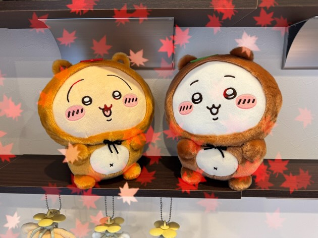 可愛いちいかわたちが届きました🎁✨