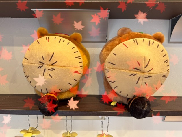 可愛いちいかわたちが届きました🎁✨