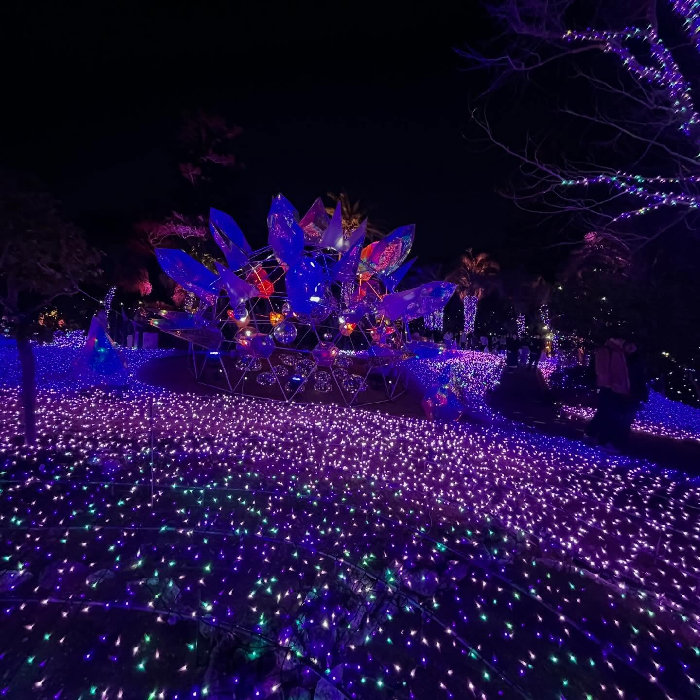 先日江ノ島へ行ってきました✨🌊