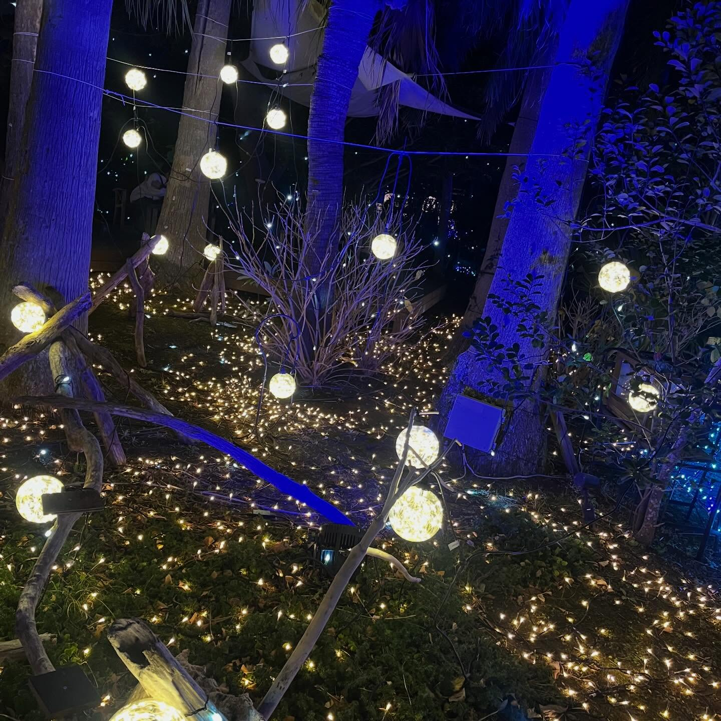 先日江ノ島へ行ってきました✨🌊