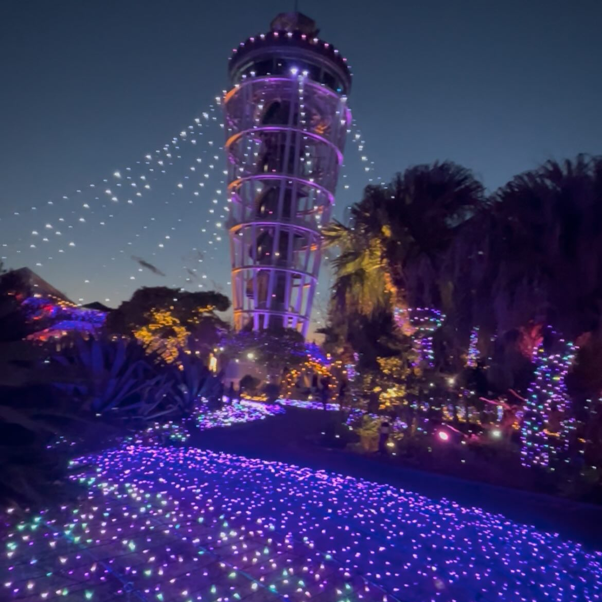 先日江ノ島へ行ってきました✨🌊