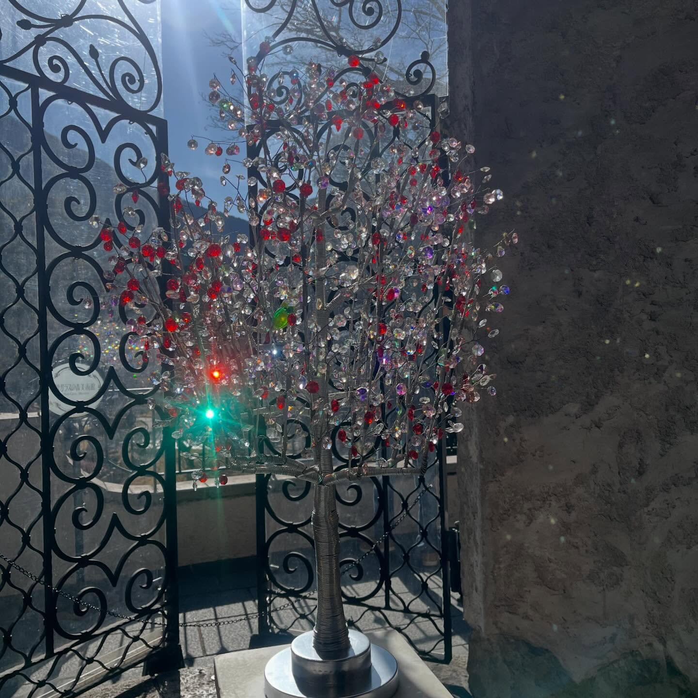 先日箱根旅行に行ってきました♨️