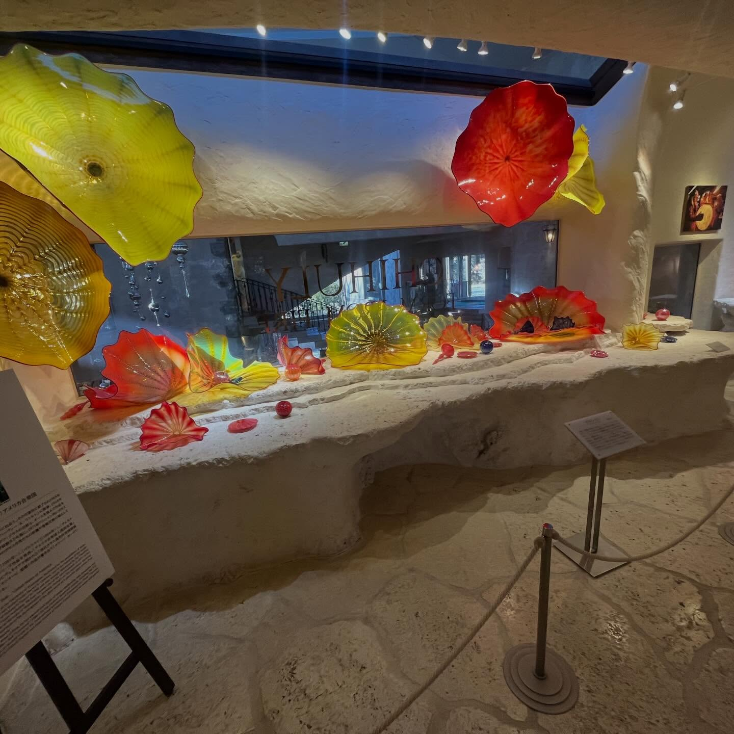 先日箱根旅行に行ってきました♨️