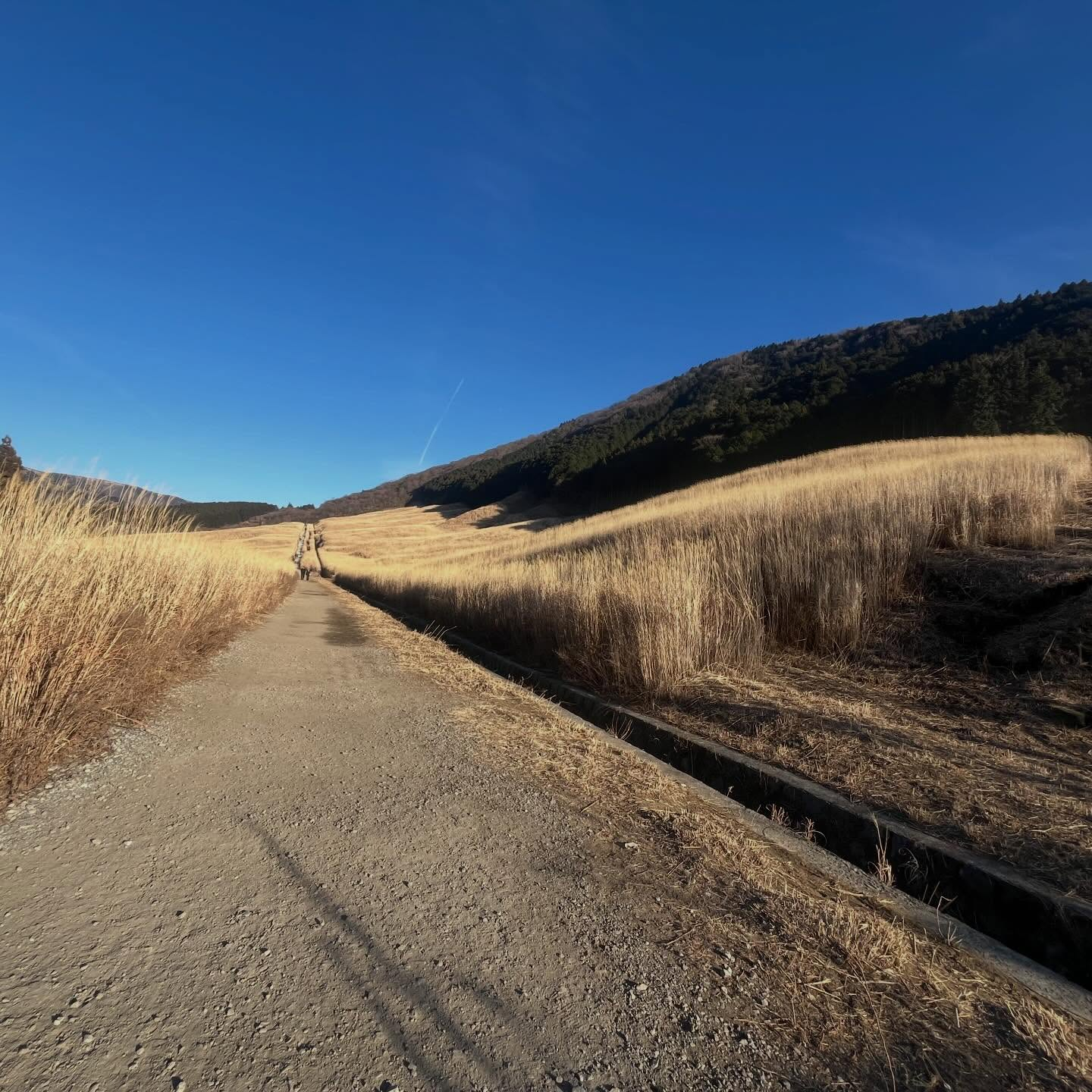 先日箱根旅行に行ってきました♨️