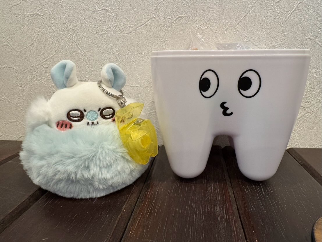 フロスの使用をオススメしてきておりますが、フロスを持ち歩いて...