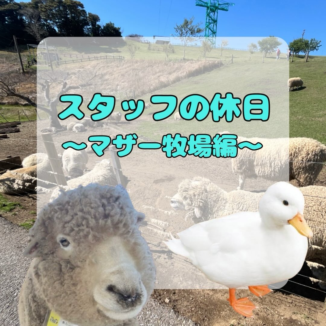 先日千葉県にあるマザー牧場に行ってきました🐮🥛