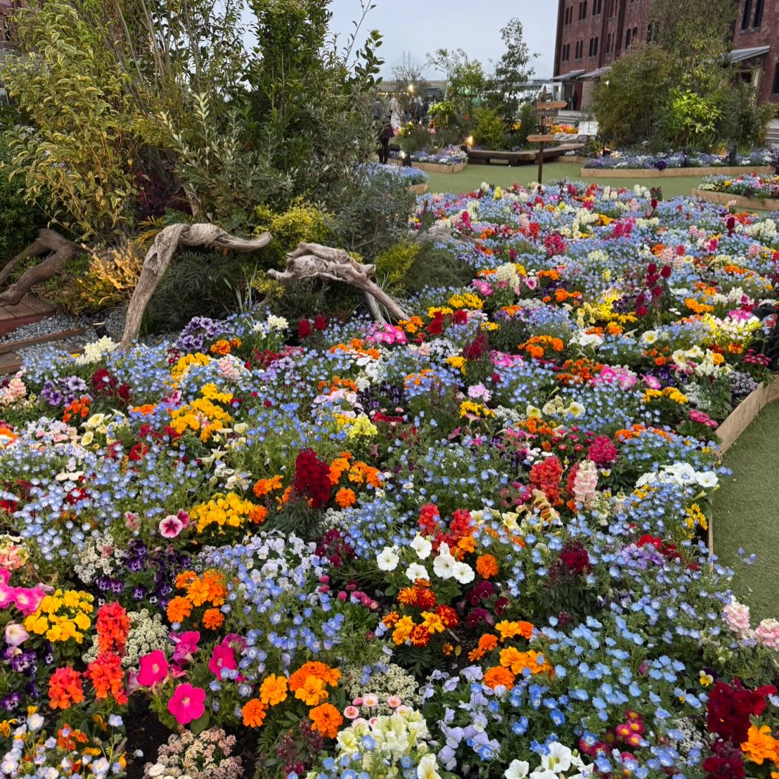 みなとみらい散策して来ました🚢