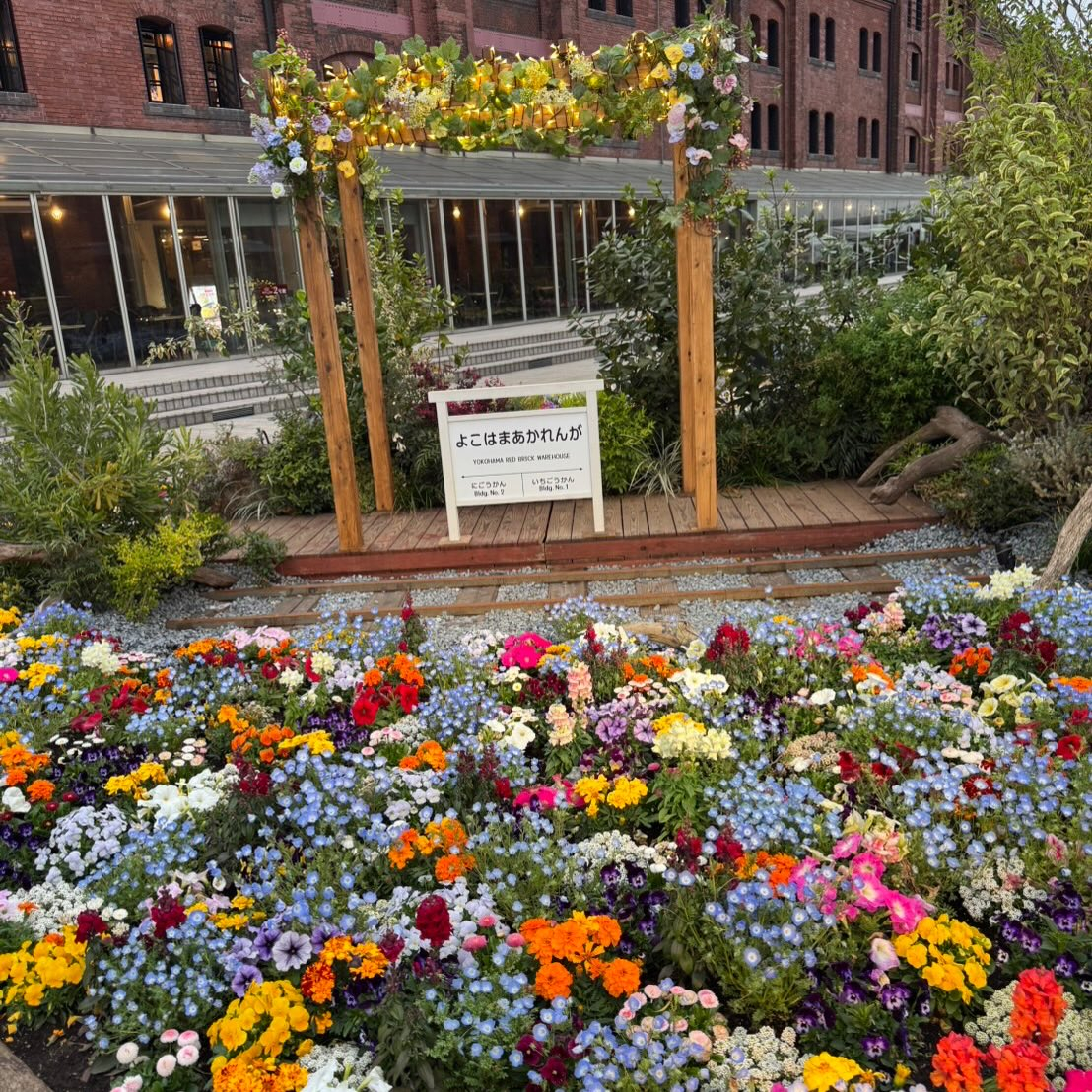 みなとみらい散策して来ました🚢