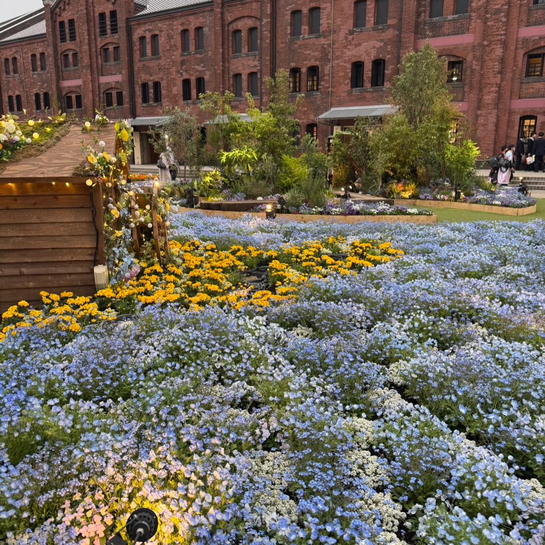みなとみらい散策して来ました🚢