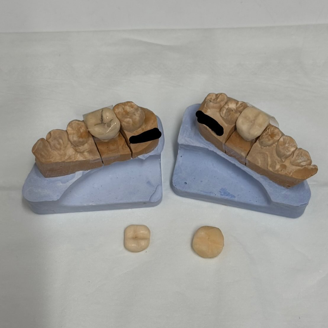 投稿をすっかり忘れてしまっていました💦