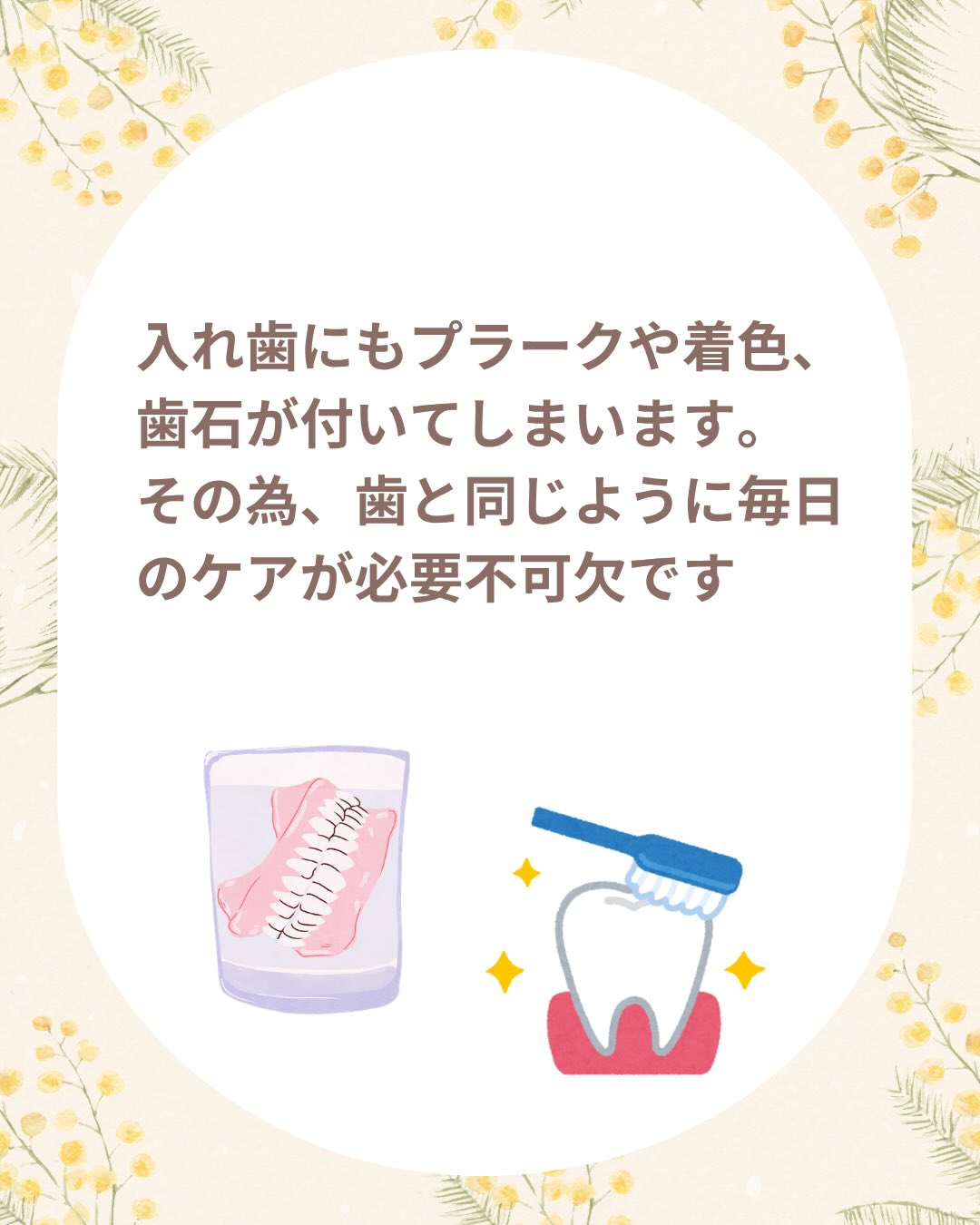 入れ歯(義歯)ケア商品のご案内です🦷