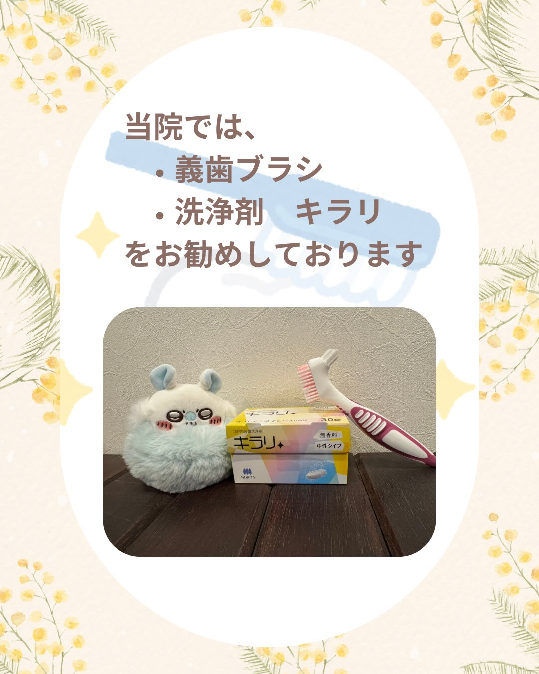 入れ歯(義歯)ケア商品のご案内です🦷