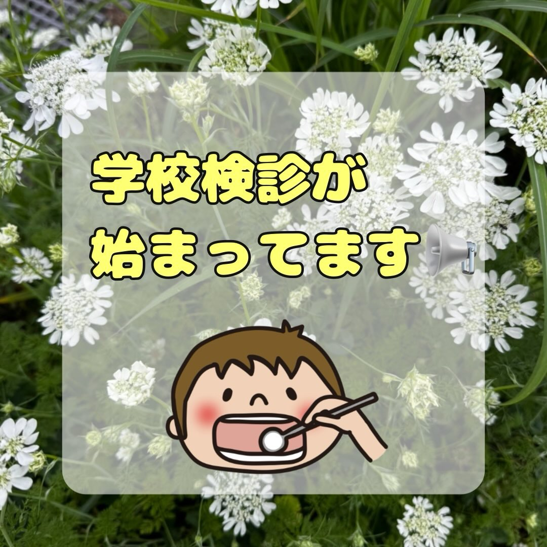 こんにちは😊
