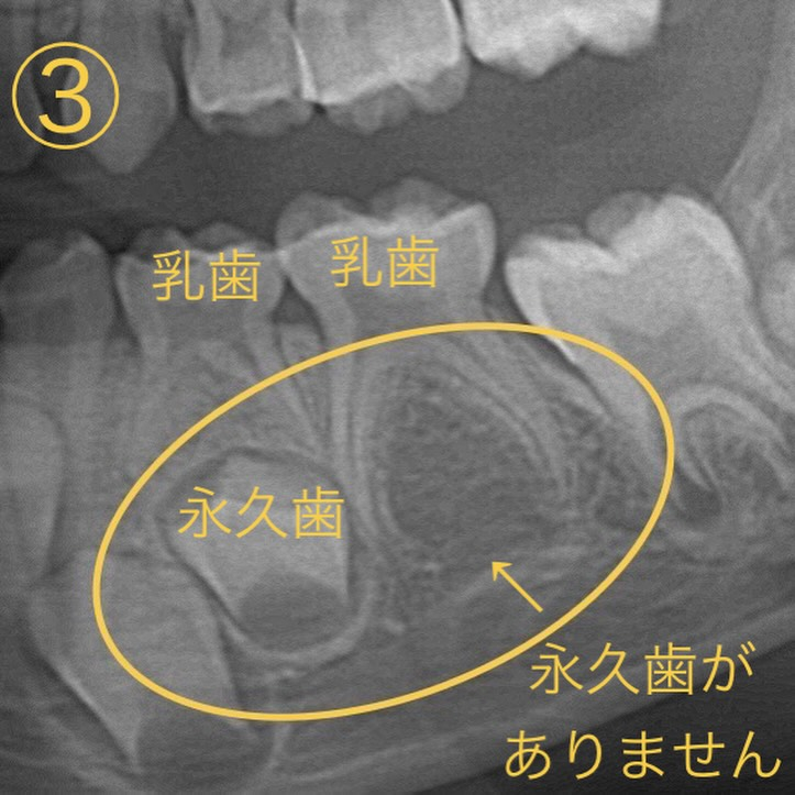 こんにちは😊